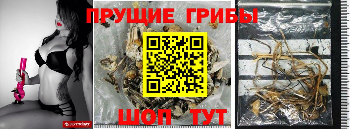 Ахтубинск  Псилоцибиновые грибы Cubensis  Псилоцибиновые грибы мухоморы  Вход с VPN 